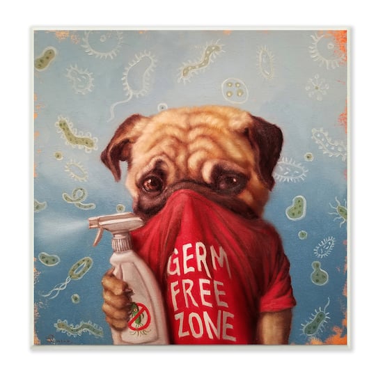 Stupell Industries Pug Portrait Germ Free Zone Cleaning Dog, 12" x 12"